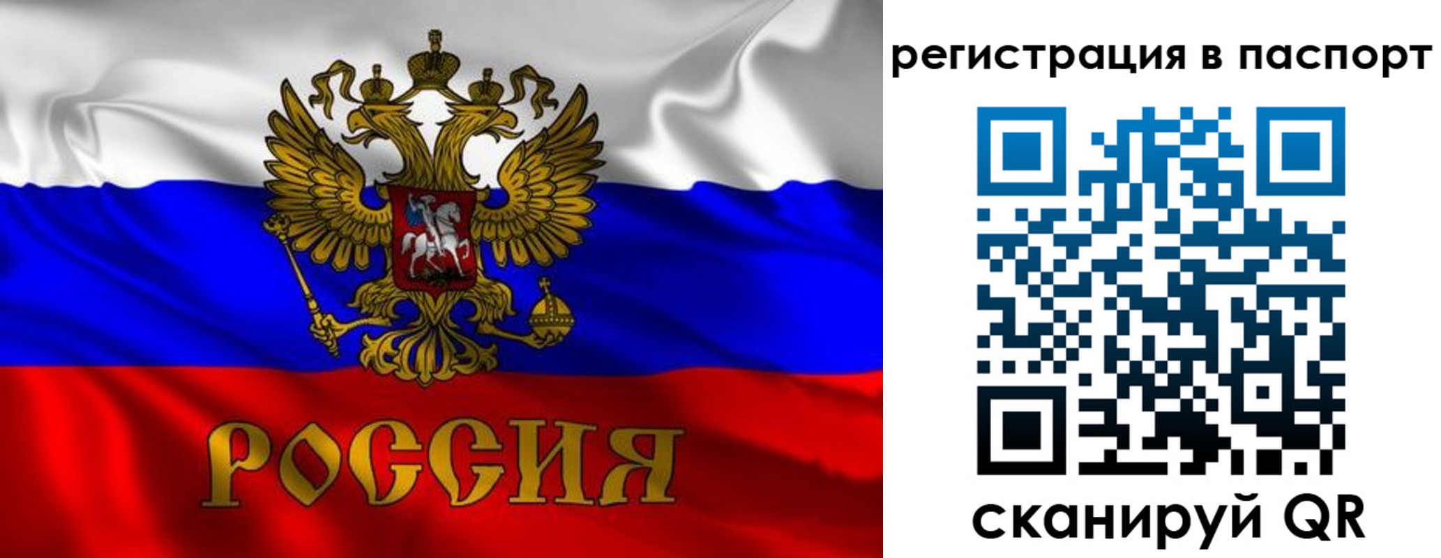 найти адрес прописки в Высоковске